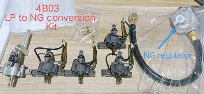 Cherylife 4B03 Propane to Natural Gas Conversion Kit – Professional Installation Required for Gas Grill Conversion